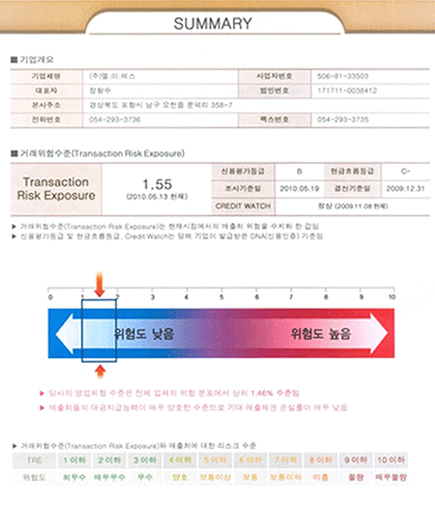 거래처 분석 요약 보고서